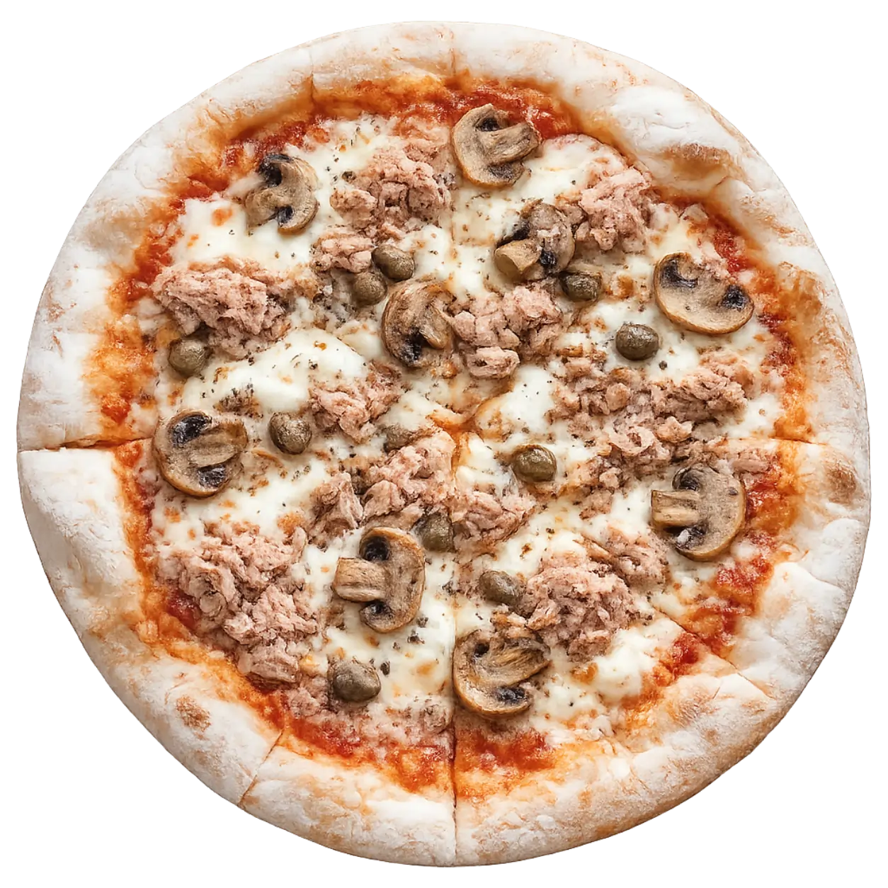 Tuna Mushrooms